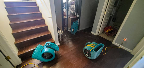 Best Water damage restoration near me  in Linden, TN