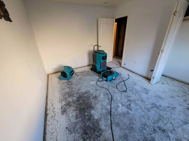 Best Flood restoration services  in Linden, TN