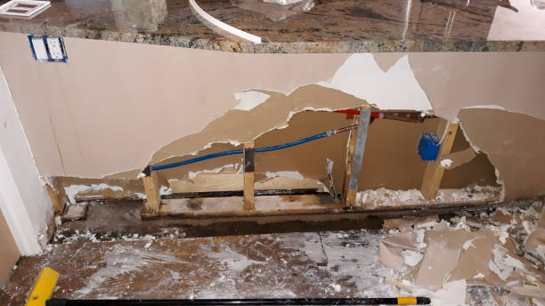 Best Flooded house restoration  in Linden, TN