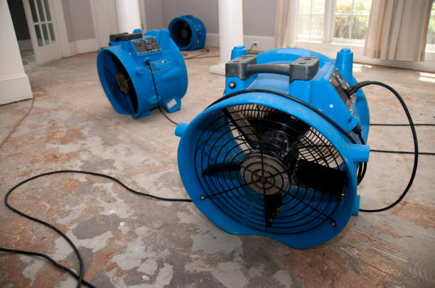 Local water damage restoration in TN
