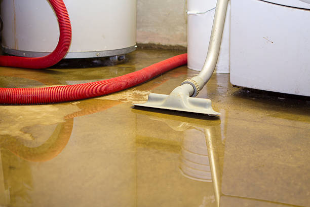 Best Professional water damage repair  in Linden, TN