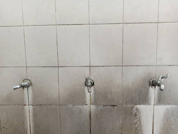 Best Water damage restoration specialists  in Linden, TN
