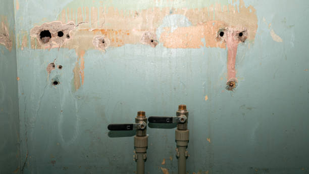 Best Fire Damage Restoration  in Linden, TN