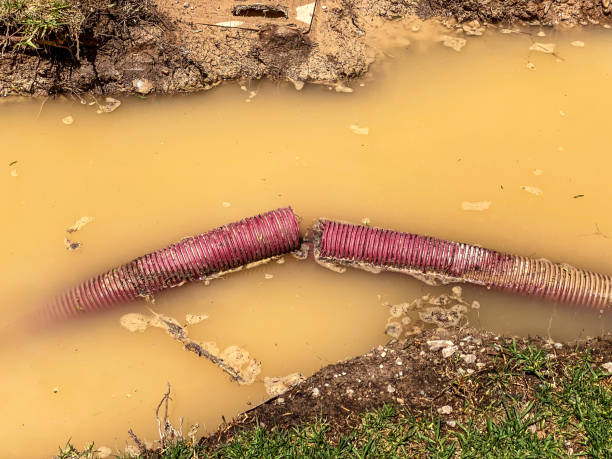 Best 24-hour water damage restoration  in Linden, TN