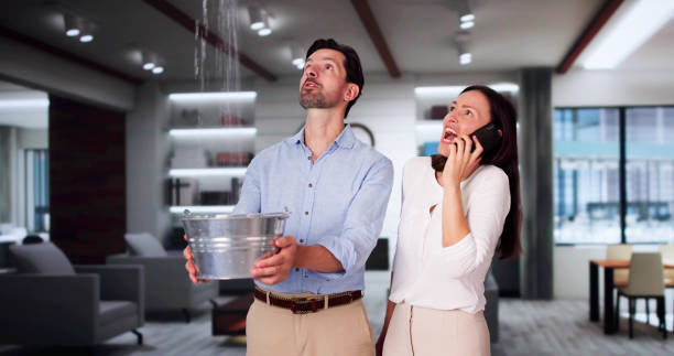 Best Ceiling water damage repair  in Linden, TN