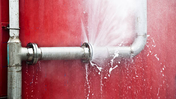 Best Flood damage cleanup  in Linden, TN